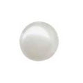 ELAN Shank Button - White - Pearl