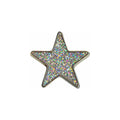 ELAN Novelty Shank Button - Aurora Borealis  - 25mm (1″) - Star - 2 count