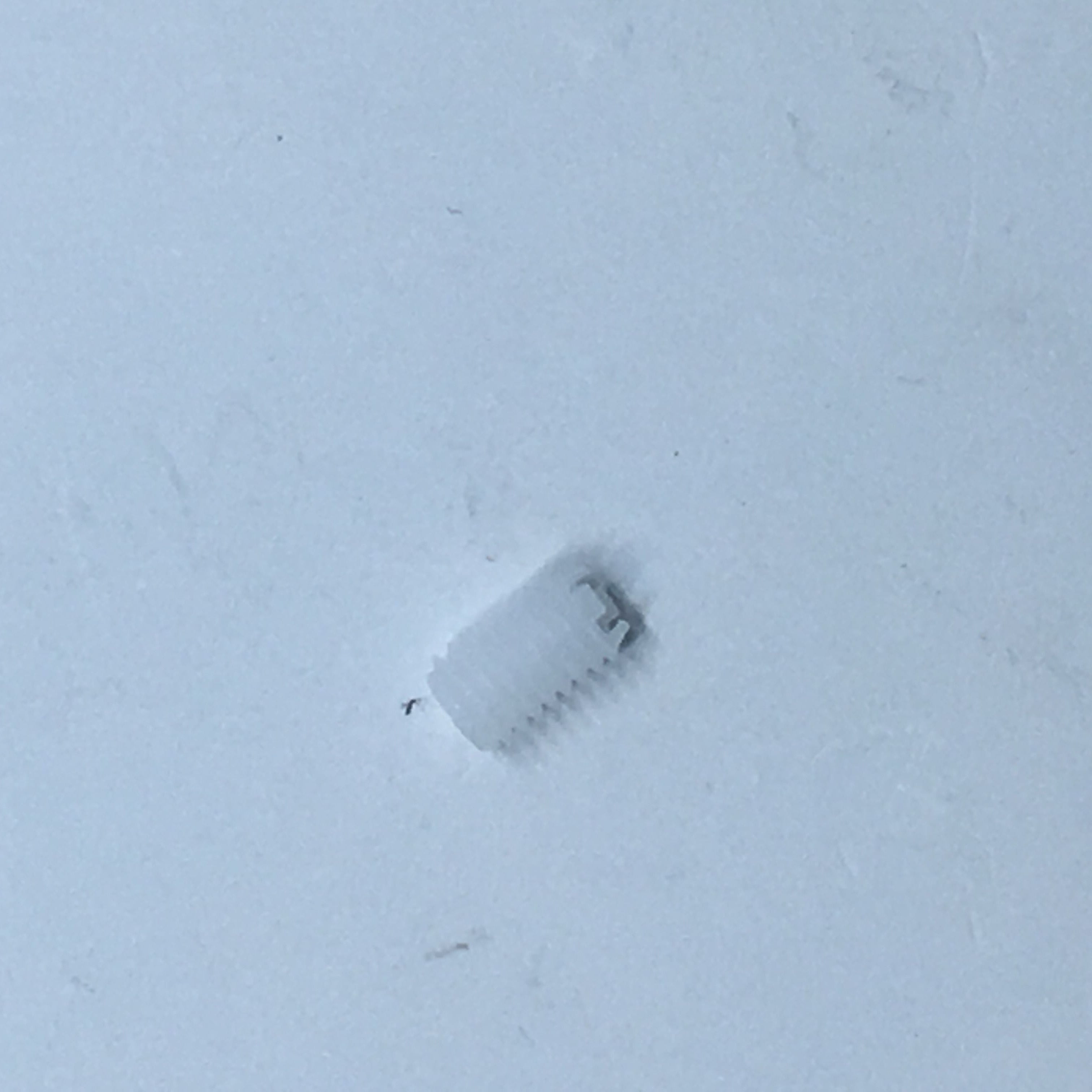 PFAFF Feed Base Set Screw